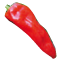 Corno di toro rosso Corno di toro rosso